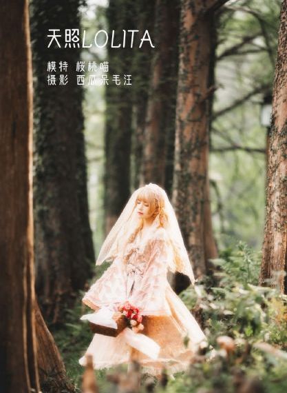 三个傻瓜电影在线观看完整版视频