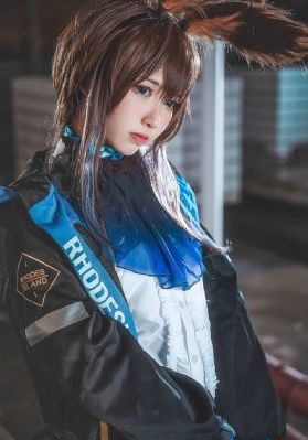 天天视频在线观看免费完整
